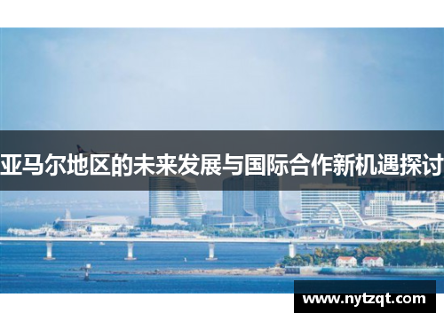 亚马尔地区的未来发展与国际合作新机遇探讨